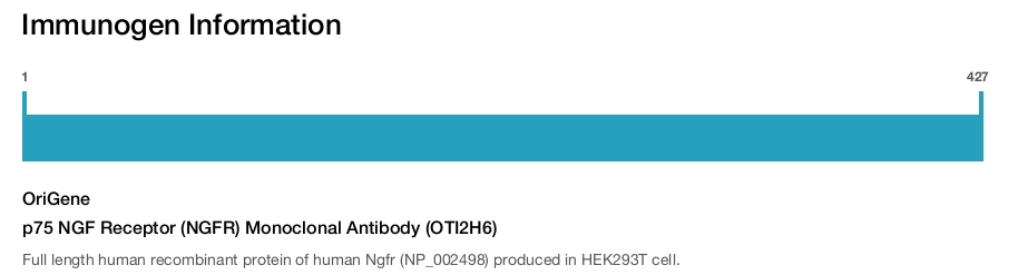 p75 NGF Receptor (NGFR) Monoclonal Antibody (OTI2H6)