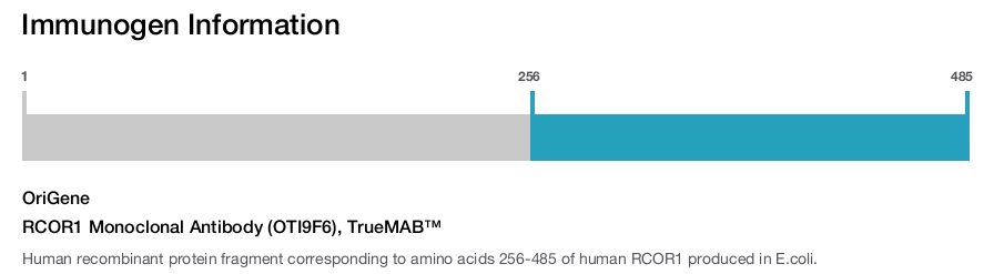 RCOR1 Monoclonal Antibody (OTI9F6), TrueMAB™