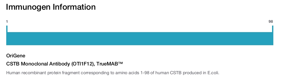 CSTB Monoclonal Antibody (OTI1F12), TrueMAB&trade;