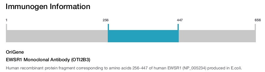 EWSR1 Monoclonal Antibody (OTI2B3)