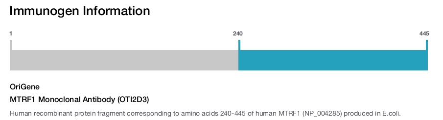 MTRF1 Monoclonal Antibody (OTI2D3)