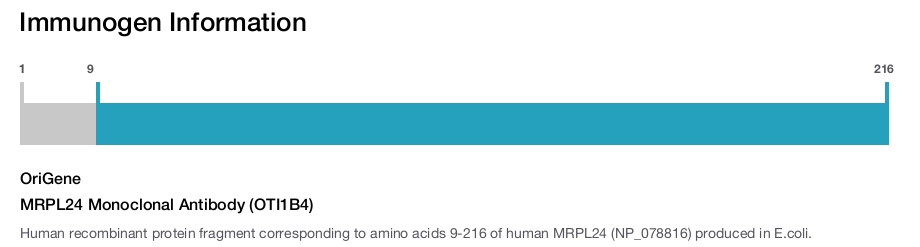 MRPL24 Monoclonal Antibody (OTI1B4)
