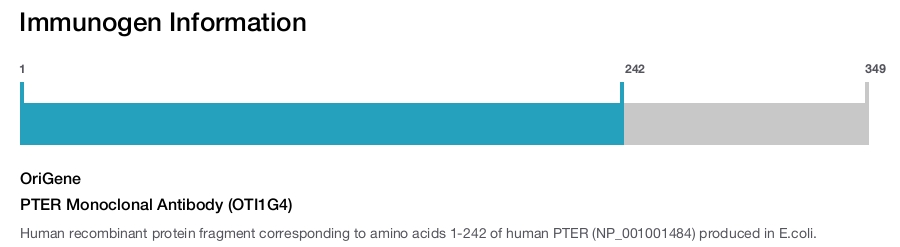 PTER Monoclonal Antibody (OTI1G4)