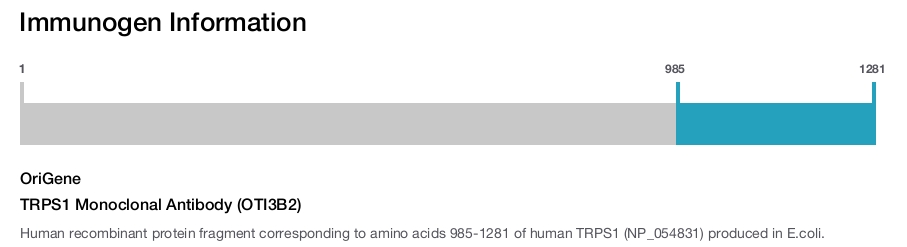 TRPS1 Monoclonal Antibody (OTI3B2)