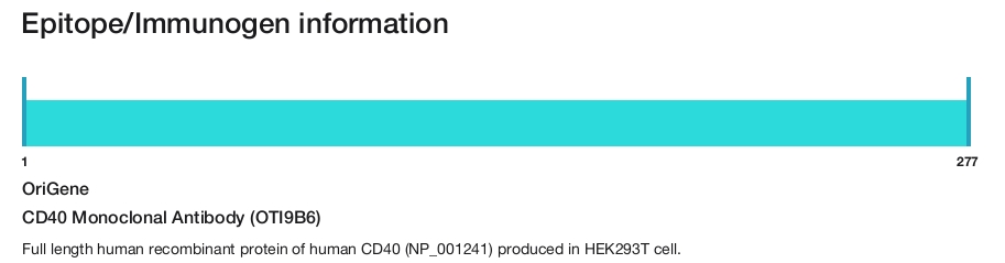 CD40 Monoclonal Antibody (OTI9B6)