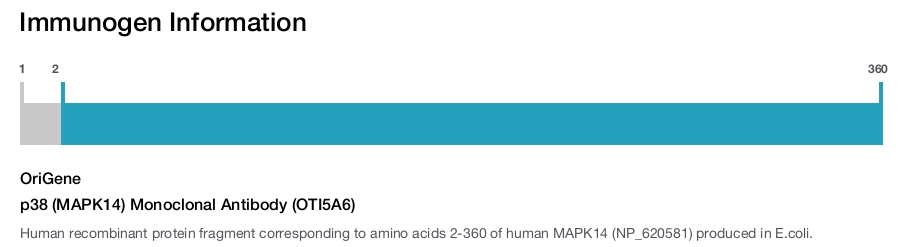 p38 (MAPK14) Monoclonal Antibody (OTI5A6)