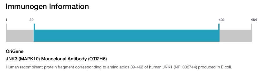 JNK3 (MAPK10) Monoclonal Antibody (OTI2H6)