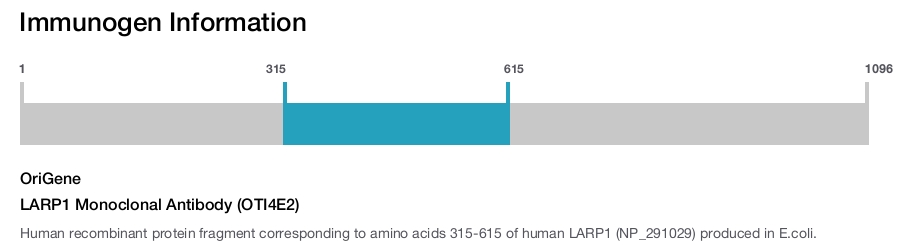 LARP1 Monoclonal Antibody (OTI4E2)