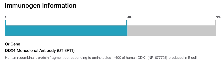 DDX4 Monoclonal Antibody (OTI3F11)