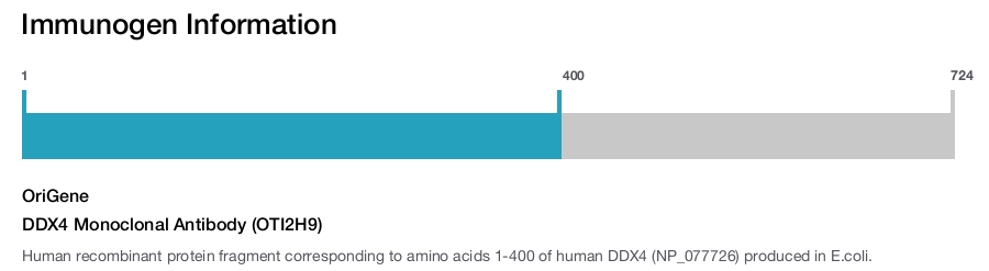 DDX4 Monoclonal Antibody (OTI2H9)
