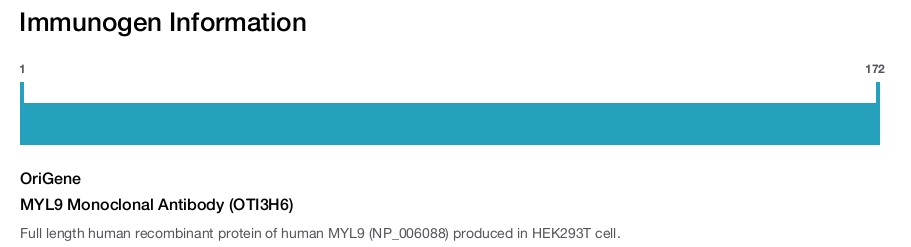 MYL9 Monoclonal Antibody (OTI3H6)
