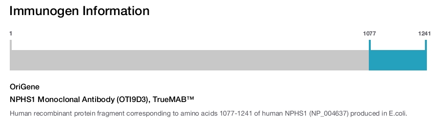 NPHS1 Monoclonal Antibody (OTI9D3), TrueMAB™