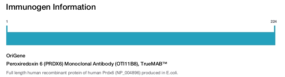 Peroxiredoxin 6 (PRDX6) Monoclonal Antibody (OTI11B8), TrueMAB&trade;