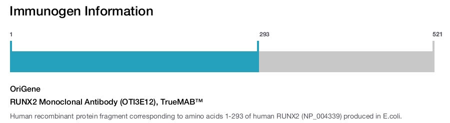 RUNX2 Monoclonal Antibody (OTI3E12), TrueMAB&trade;