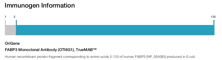 FABP3 Monoclonal Antibody (OTI6G1), TrueMAB&trade;