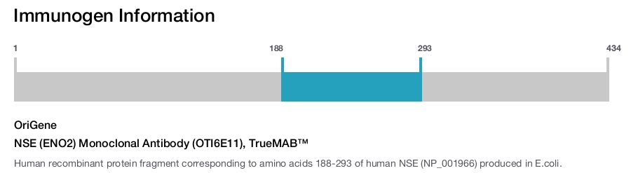 NSE (ENO2) Monoclonal Antibody (OTI6E11), TrueMAB&trade;