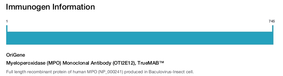 Myeloperoxidase (MPO) Monoclonal Antibody (OTI2E12), TrueMAB&trade;