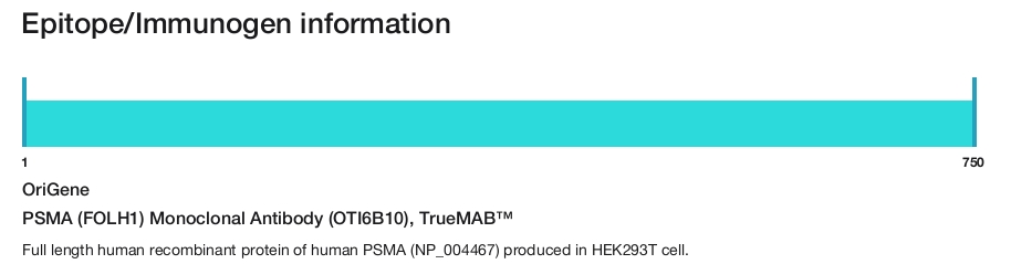 PSMA (FOLH1) Monoclonal Antibody (OTI6B10), TrueMAB&trade;