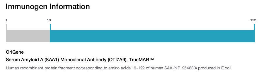 Serum Amyloid A (SAA1) Monoclonal Antibody (OTI7A9), TrueMAB&trade;