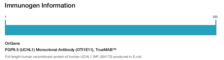 PGP9.5 (UCHL1) Monoclonal Antibody (OTI1E11), TrueMAB&trade;