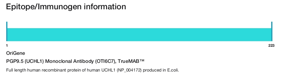 PGP9.5 (UCHL1) Monoclonal Antibody (OTI6C7), TrueMAB&trade;