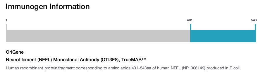 Neurofilament (NEFL) Monoclonal Antibody (OTI3F8), TrueMAB&trade;