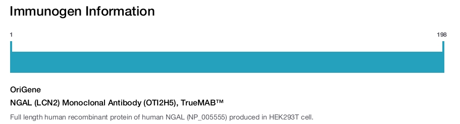 NGAL (LCN2) Monoclonal Antibody (OTI2H5), TrueMAB&trade;