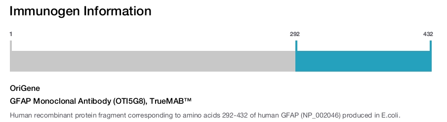GFAP Monoclonal Antibody (OTI5G8), TrueMAB&trade;