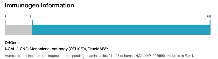 NGAL (LCN2) Monoclonal Antibody (OTI10F9), TrueMAB&trade;