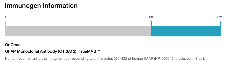 GFAP Monoclonal Antibody (OTI3A12), TrueMAB&trade;
