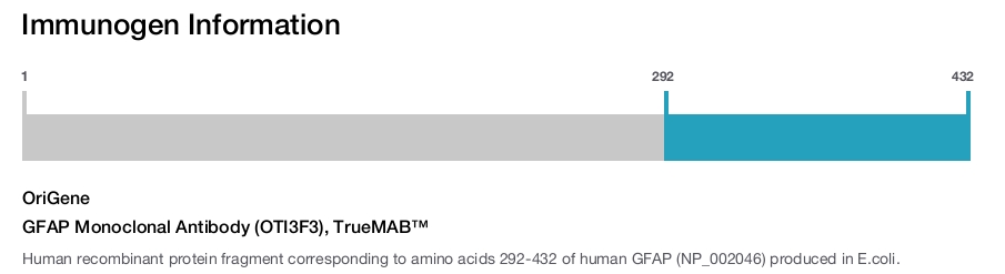 GFAP Monoclonal Antibody (OTI3F3), TrueMAB&trade;