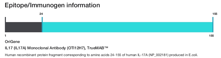 IL17 (IL17A) Monoclonal Antibody (OTI12H7), TrueMAB&trade;