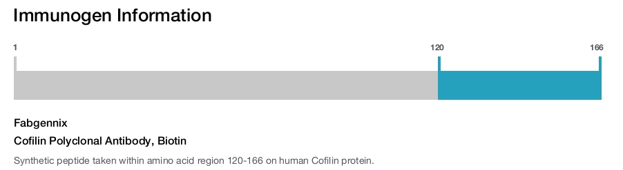 Cofilin Polyclonal Antibody, Biotin