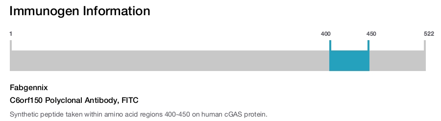 C6orf150 Polyclonal Antibody, FITC