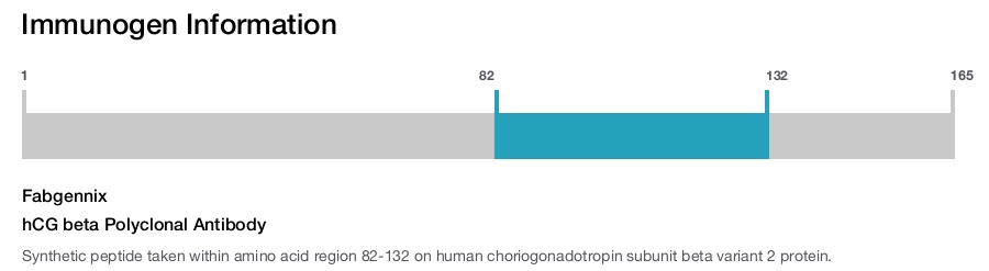 hCG beta Polyclonal Antibody