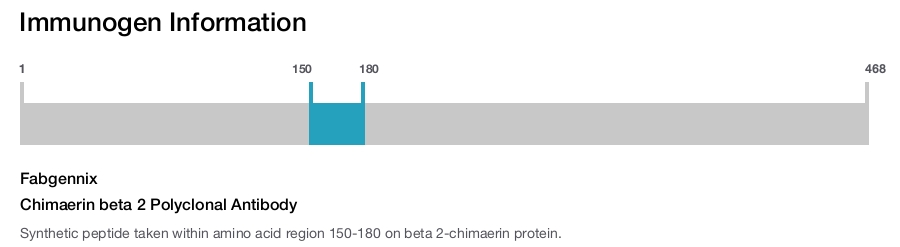 Chimaerin beta 2 Polyclonal Antibody
