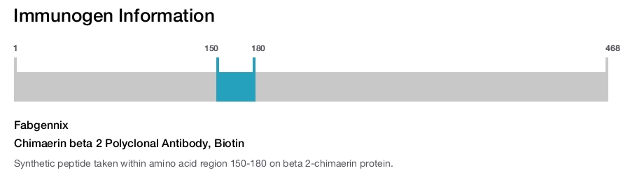 Chimaerin beta 2 Polyclonal Antibody, Biotin