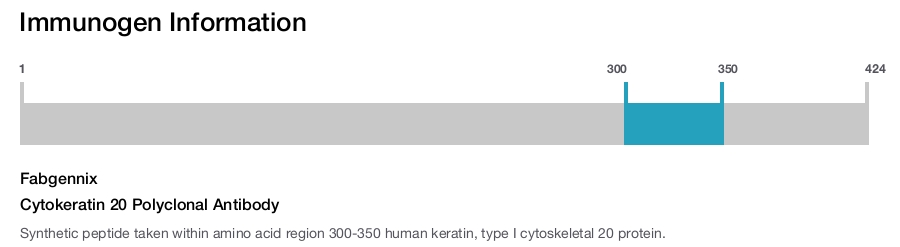Cytokeratin 20 Polyclonal Antibody