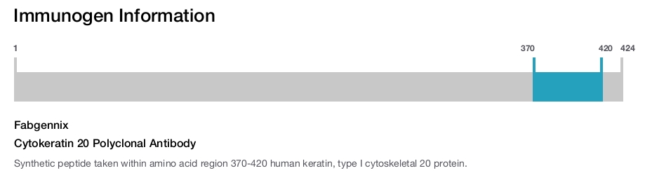 Cytokeratin 20 Polyclonal Antibody