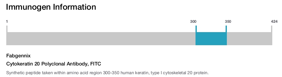 Cytokeratin 20 Polyclonal Antibody, FITC