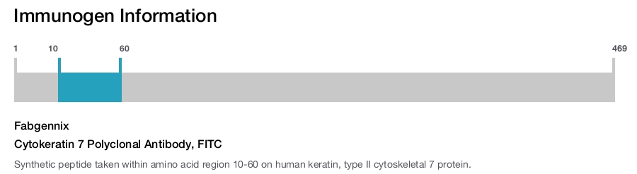 Cytokeratin 7 Polyclonal Antibody, FITC
