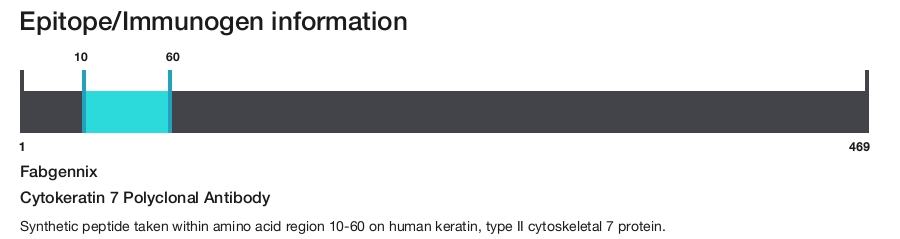 Cytokeratin 7 Polyclonal Antibody