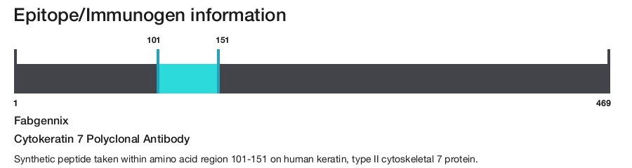 Cytokeratin 7 Polyclonal Antibody
