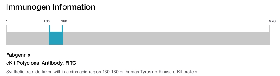 cKit Polyclonal Antibody, FITC