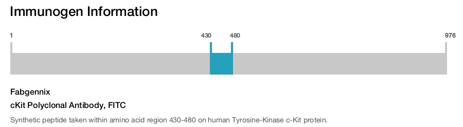 cKit Polyclonal Antibody, FITC