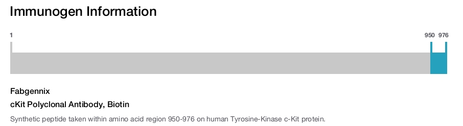 cKit Polyclonal Antibody, Biotin