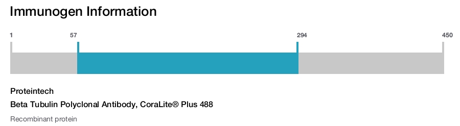 Beta Tubulin Polyclonal Antibody, CoraLite&reg; Plus 488