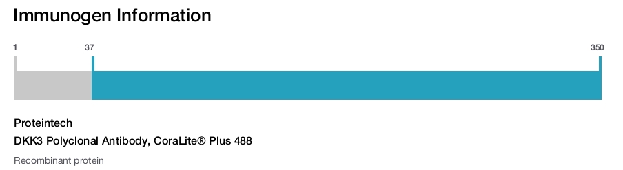 DKK3 Polyclonal Antibody, CoraLite&reg; Plus 488