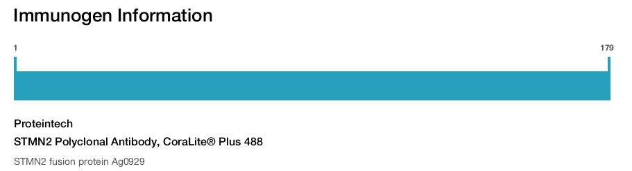 STMN2 Polyclonal Antibody, CoraLite&reg; Plus 488