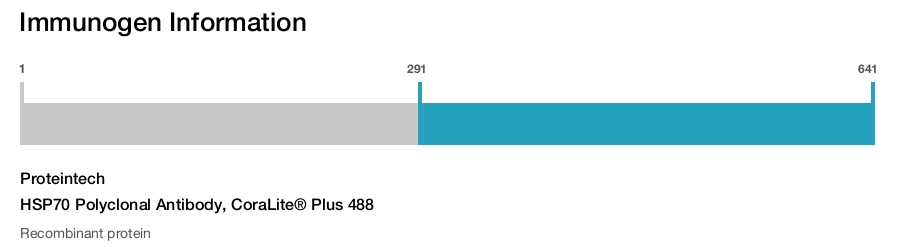 HSP70 Polyclonal Antibody, CoraLite&reg; Plus 488